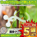 ★ポイント5倍!お買物マラソン★ 500個セット 園芸クリップ 誘引クリップ 家庭菜園 固定 簡単 園芸 ガーデニング 支柱 添え木 庭掃除 園芸用具 茎クリップ バンド 結束 便利 ナイロン 野菜 植物 100-ENCRI