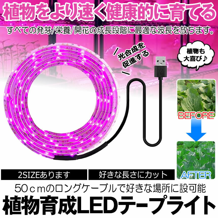 ★5/9～5/15限定！ポイント5倍★ 植物育成ライト 3m LED植物用 LEDテープライト 植物成長促進 光合成 促進 防水 USB対応 LEDテープ 植物育成ランプ 家庭菜園 室内園芸 野菜 SODATU 2