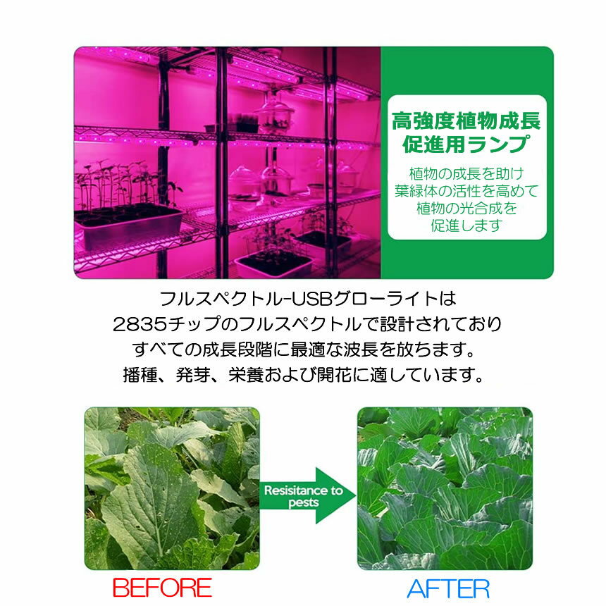 ★5/9～5/15限定！ポイント5倍★ 植物育成ライト 3m LED植物用 LEDテープライト 植物成長促進 光合成 促進 防水 USB対応 LEDテープ 植物育成ランプ 家庭菜園 室内園芸 野菜 SODATU 3