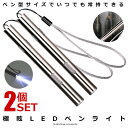 2個セット 懐中電灯 LED 小型 LEDライト ペン 充電式 USB 持ち歩き 100LM ハンディライト アウトドア キャンプ USB充電 釣り 作業 防犯 ツール 緊急 防災 災害 送料無料 EGLARE
