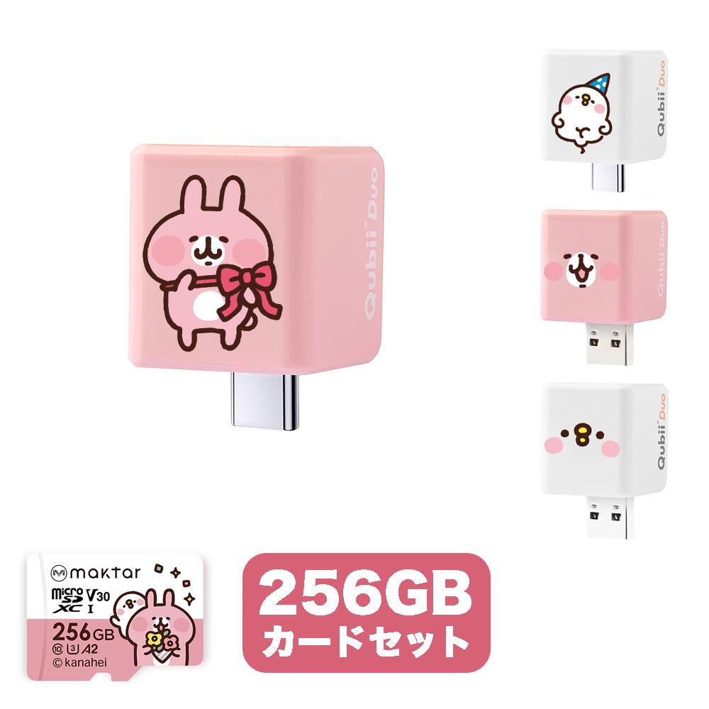 256GB microSDセット Qubii Duo カナヘイの