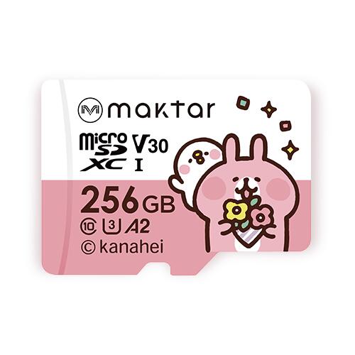 256GB microSD JiwC̏R{fUC UHS-3 microSDXC