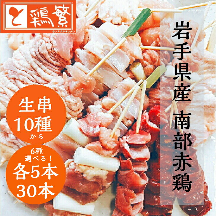 【本格】BBQ セット【選べる 生串】6種30本 各5本 【限定特価】10種から選べる バイキング 焼き鳥【送料無料】しんばし鶏繁 やきとり 専門店 新橋で50年【国産】岩手県産 高級 銘柄鶏 南部どり…