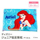 モリシタ ディズニー ジュニアソフト低反発枕 ( リトル・マーメイド / アリエル ) こども枕 洗える まくら カバー付き 低反発 マイクロファイバー こども...