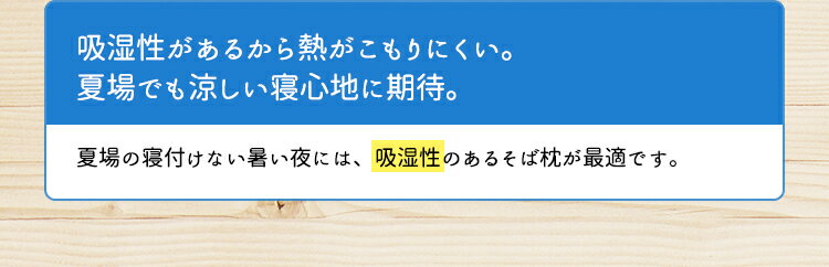 【送料無料】ヒートエアー(熱処理済)そば枕2個セット大サイズ