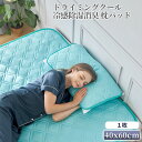 ドライミングクール 冷感 除湿消臭 枕パッド 1枚セット 40x60cm ムレ対策 たばこ臭 ミドル脂臭 加齢臭 ペット臭対策 Dryming