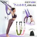 ヨガベルト フィットネスバンド 筋トレ バンド 空中ブランコ ヨガ ハンモック 筋トレ バンド ピラティスのトレ反重力 反重力ヨガ トレーナーをアシスト エクササイズ ヨガシルク(4)