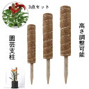 3点セット 園芸 支柱 おしゃれ 植物支柱 ガーデン 蔓 花ささえ 連結 延長 木製 ココナッツ 支え ガーデニング用支柱 観葉支柱 登山植物つる 高さ調整可能...