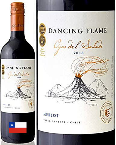 勝利を目指してダンシングフレーム sp df_char.jpg