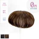 【無料試着】人毛100% 人工地肌付きヘアピース PO-3000HKT 部分ウィッグ 地肌付き 頭頂部 白髪 総手植え フロントウィッグ ミセス 全2色 ウィッ...