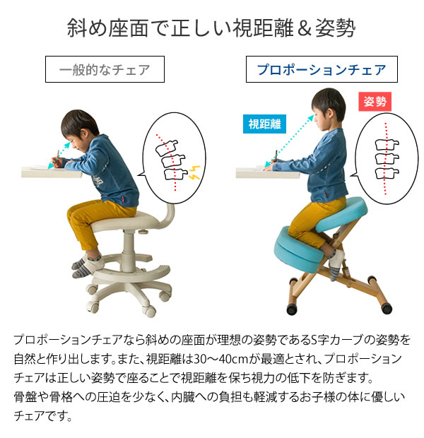 �ץ��ݡ��������������å� (������å�����դ�) CH-889CK �ؽ������� �ؽ��ػ� ���å������� (�ץ��ݡ������������� �Х�� ����˥� �Ҷ� �ػ� �ض� ����)