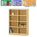 サイズオーダーラック 幅1cm単位 日本製 タナリオ 【奥行通常型29cm】×【高さ120cm】×【横幅81~90cm】 本棚 オーダー 別注 特注 整理棚 ラック シェルフ Tanalio TNL オーダーサイズ オーダーメイド