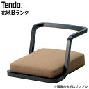 【ポイント10倍】 天童木工 座イス 座椅子 T-3187WB-BX ホワイトビーチ(BX色) 布地【Bランク】(3)