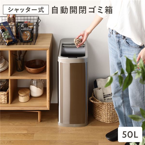 ゴミ箱 ダストボックス 約幅25cm 50L シャッター開き 自動開閉センサー付き プラスチック ステンレス 単三電池4本 完成品【代引不可】