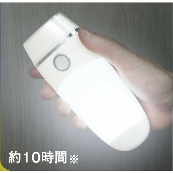 LED センサーライト 幅3.3cm 電球寿命5万時間 コンセント ムサシ 壁 ホタル 玄関 廊下 トイレ 常夜灯 防犯対策用品 防災対策用品