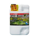 （まとめ）レインボー薬品 コケとーるシャワー 2L 1本 【×3セット】 送料無料