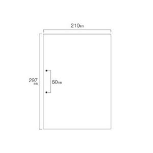 （まとめ）TANOSEE スマイル用LBP用紙A4汎用白紙 分割なし 2穴 1箱(500枚) 【×2セット】