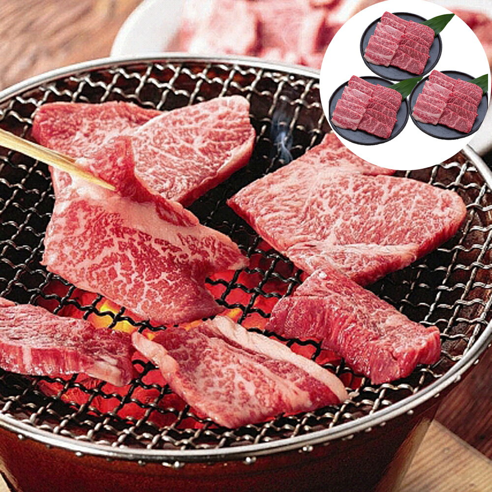 【ポイントUP】長野 信州プレミアム牛肉焼肉 モモ バラ 600g