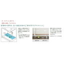 TOTO洗面化粧台 新Vシリーズ W600サイズ エコシングルシャワー水栓＋LED照明1面鏡（LDPB060BAGEN2A+LMPB060B1GDG1G）送料無料 3