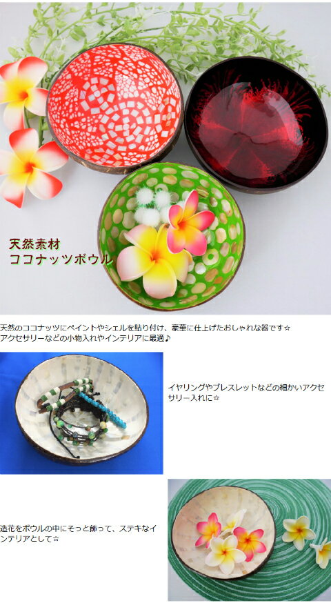 【おまけ付き】Asian plate ココナッツ ボウル 小物入れ 器 ヤシ ヤシの実 貝殻 ボール 人気 数量限定 プレゼント