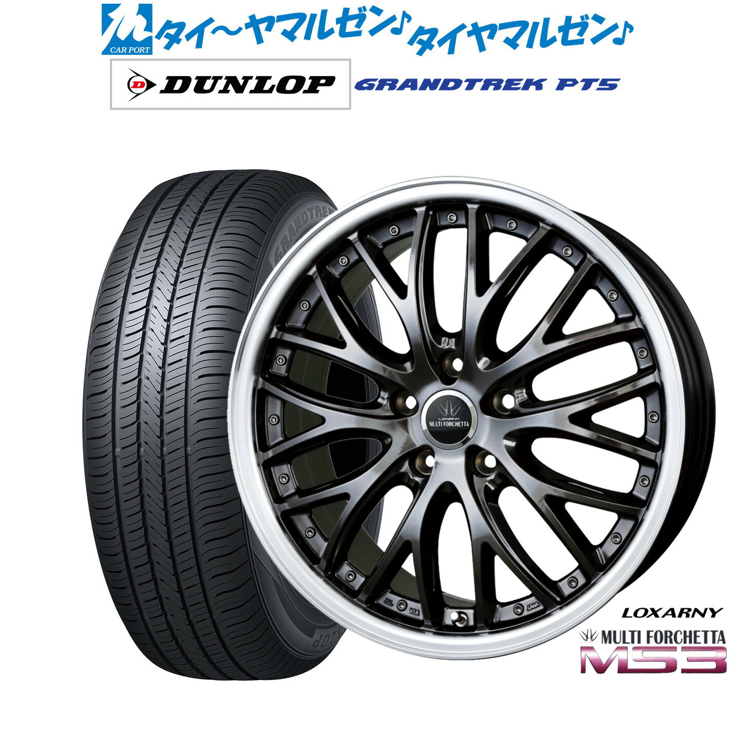 [6/18]最大100%ポイントバック！要エントリー新品 サマータイヤ ホイール4本セットBADX ロクサーニ マルチフォルケッタ MS319インチ 8.0Jダンロップ GRANDTREK グラントレック PT5225/55R19