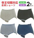 【メール便送料無料】帝王切開用 2枚組産褥ショーツ（全開タイプ） LL-3L 3L-4Lサイズ出産準備 入院準備 2枚組 産褥ショーツ 悪露 産後 産褥 ママ