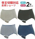 【メール便送料無料】帝王切開用 2枚組産褥ショーツ（全開タイプ） M-L L-LLサイズ出産準備 入院準備 2枚組 産褥ショーツ 悪露 産後 産褥 ママ