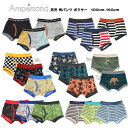 4枚以上送料無料!最大10%OFFクーポン配布中【Ampersand アンパサンド 男児 キッズパンツ 100cm-160cm】[男の子 ボクサー 下着 恐竜 リーフ柄 キッズ パンツ 下着 男児 肌着 子供 綿100％ おしゃれ インナー 保育園 幼稚園 小学生]