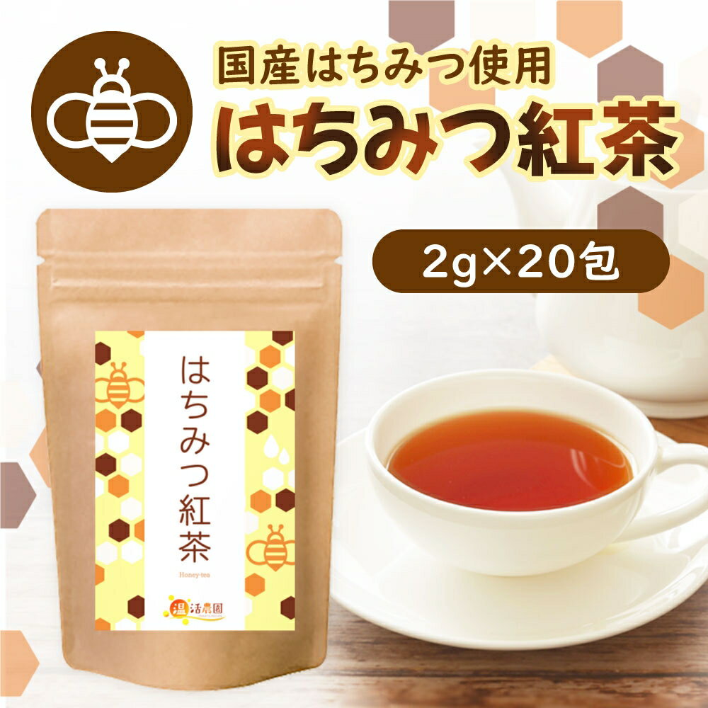 はちみつ紅茶 2g×20包 ティーバッグ 濃厚 ハチミツ紅茶 蜂蜜紅茶 極上 温活農園 送料無料