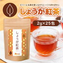 【公式】温活農園 しょうが紅茶 2g×25包 ティーバッグ ショウガ紅茶 生姜紅茶 ジンジャーティー ママセレクト 温活農園 送料無料