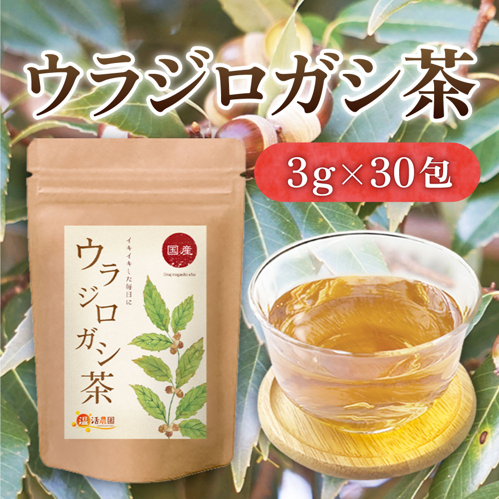 健康茶 【公式】温活農園 ウラジロガシ茶 国産 3g×30包 ノンカフェイン ウラジロガシ うらじろがし 裏白樫 どんぐり 排石茶 流石茶 お茶 健康茶 温活農園 送料無料