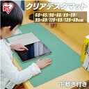 デスクマット フリーサイズ 下敷き付 クリア PVクリアシート / グリーン 下敷き 大型 学習机 子供 小学生 入学 学生 子供部屋 学習マット 学習デスク ...