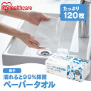 濡れると99%除菌ペーパータオル 120枚 厚手 JPT-120 除菌ペーパータオル ペーパータオル 除菌 厚手 手拭きペーパー 紙タオル 使い捨て アイリスオーヤマ