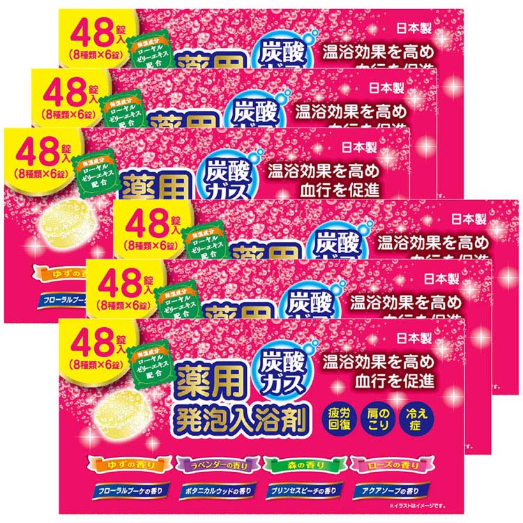 【6個セット】入浴剤 アソートセット 薬用 炭酸ガス 薬用発泡入浴剤 入浴剤 アソートセット 薬用 日本製 炭酸 発砲 炭酸湯 疲労回復 肩こり 冷え性 大容量 にゅうよくざい ライオンケミカル [2602SO]