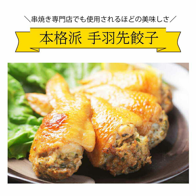 【20本】手羽先餃子 手羽 餃子 電子レンジ 簡単 簡単調理 業務用 居酒屋 本格派 冷凍 揚げ Tokka 【TD】 【代引不可】 [2603SE]