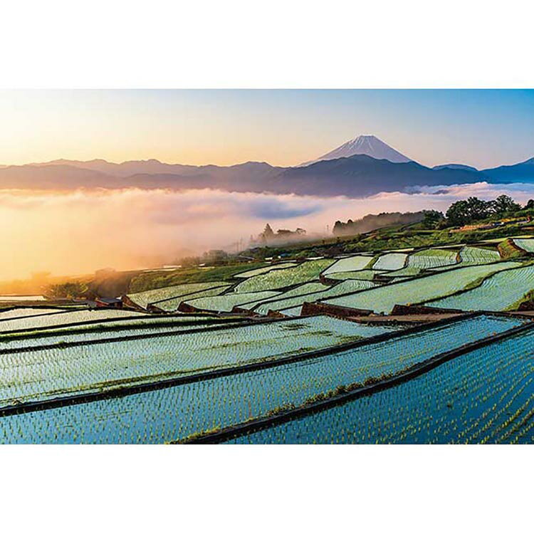 乐天商城 - 1000ピース 朝焼けの富士と棚田 1000-914富士山 棚田 1000ピース ジグソーパズル アップルワン