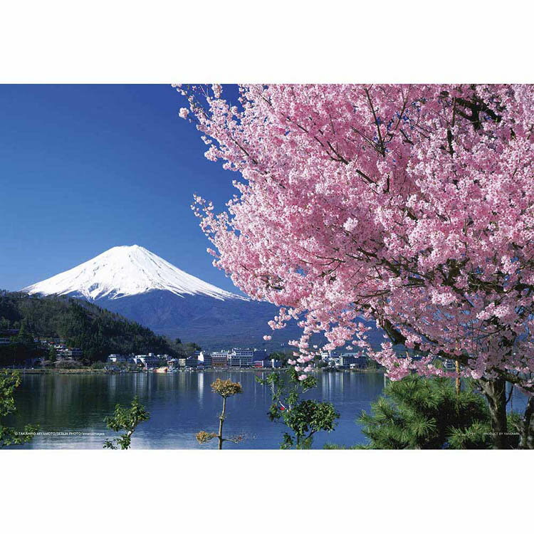 パズル 108P 桜と富士（山梨） 01-2068ジグソーパズル 108ピース 風景 26×38cm 桜 富士山 山梨 世界遺産 ラージピース 初心者向け Yanoman やのまん