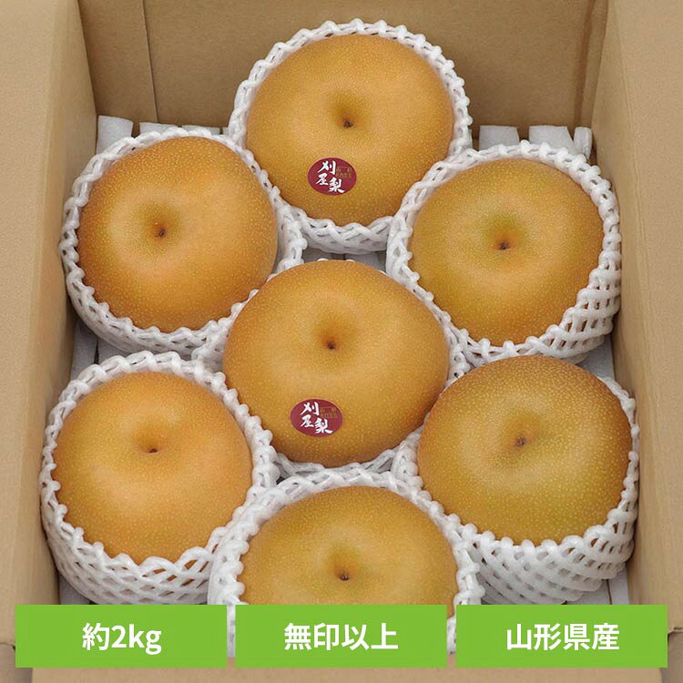 山形県産訳あり刈屋梨 約2kg（6〜10玉） 山形県産 刈屋梨 和梨 お取り寄せ 送料無料 産地直送 フルーツ ご褒美 訳あり 【TD】 【代引不可】