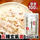 【3袋】国内産 五種玄氣麦 250g(麦5種) 5種 玄氣米 国内産 麦5種ブレンド 食物繊維 ベストアメニティ 【D】【B】 【メール便】【代金引換不可・日時...