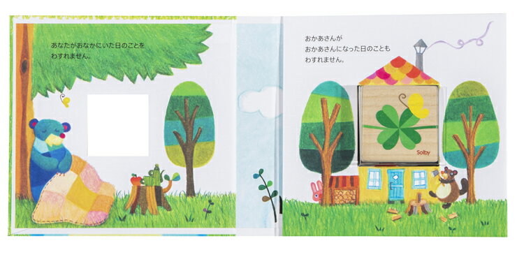 絵本型へその緒ケース おへそのお NZSB001010000 メモリアル 誕生 お祝い 【D】 [ptm]