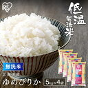 白米 米 無洗米 20kg (5kg