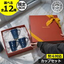 コスタノバ 食器 ギフトセット 【全12種】【当店限定ボックス】 おしゃれ マグ カフェ コーヒーカップ ティーカップ 洋食器 電子レンジ 食洗機対応 ブランド...