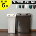 ゴミ箱 おしゃれ 45リットル 45L/70L キッチン 臭わない 約幅30cm リビング ふた付き ゴミ袋ホルダー 大きい 袋が見えない 大容量 ペットボトル ペット いたずら 防止 生ごみ 屋外用 外置き ロック付き スリム 缶 ビン 日本製 アスベル( SP ハンドル付ダストボックス )