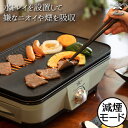 アラジン ホットプレート ホットプレート おしゃれ 卓上プレート ロースター 卓上ホットプレート 七輪 焼き肉 煙でにくい グラファイト トレイ 3段階火力 安全装置 空焼き防止機能 コンパクト キッチン家電 バーベキュー BBQ パーティー( グラファイトミニグリラー CAG-MG7A Aladdin アラジン )