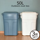 ゴミ箱 おしゃれ 分別 50L キッチン 生ゴミ ふた付き 蓋付き 45L袋可 45リットル袋可 大容量 約幅30cm 角型 屋外用 ダストボックス ごみ箱 イ...