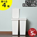 ゴミ箱 45リットル おしゃれ ダストボックス 15～45L 30L 20リットル 分別 キッチン ふた付き プッシュ式 ペット いたずら 防止 リビング スリム 中身見えない サニタリーボックス おむつ用 蓋付き 大容量 コンパクト アスベル 30リットル 国産 ( エバンプッシュペール )