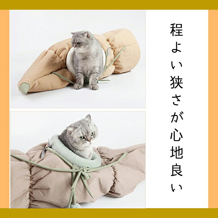 かわいいレンコンキャットトンネル 猫ハウス キャットトンネル 選ぶなら 6 22 00 6 27 01 59 クーポンあり 猫 おしゃれ かわいい おもちゃ ねこ ネコ ペット用品 蓮根 折りたたみ 猫用おもちゃ 簡単収納 運動不足対策 洗える ストレス発散 猫 トンネル