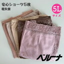 ベルーナ 軽失禁ショーツ 安心ショーツ 吸水ショーツ 5Lサイズ 5枚組 綿100% まとめ売り 大特価 尿漏れショーツ 大きいサイズ