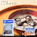 青森県産 しじみみそ汁 8食 3袋セット しじみちゃん本舗 ぷっくり食感 しじみ汁 味噌汁 二日酔い 珍味 ご飯のお供 お取り寄せグルメ おつまみ プレゼント ...