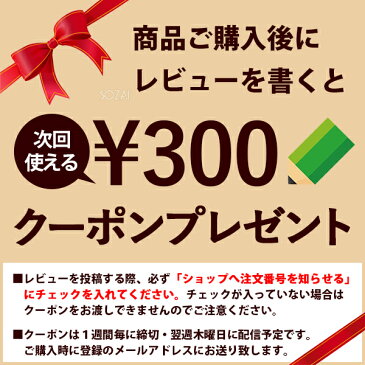 【送料無料】 道着用洗濯洗剤 武道着クリヤ 90g お試し 約2回分 白生地専用 初回限定 メール便 道着 洗濯用洗剤 洗剤 柔道 空手 剣道 粉末洗剤 衣類用 除菌 消臭 漂白剤 皮脂 血液汚れ くすみ ［M便 1/7］強力洗浄 防具 ポイント消化 【代引不可】